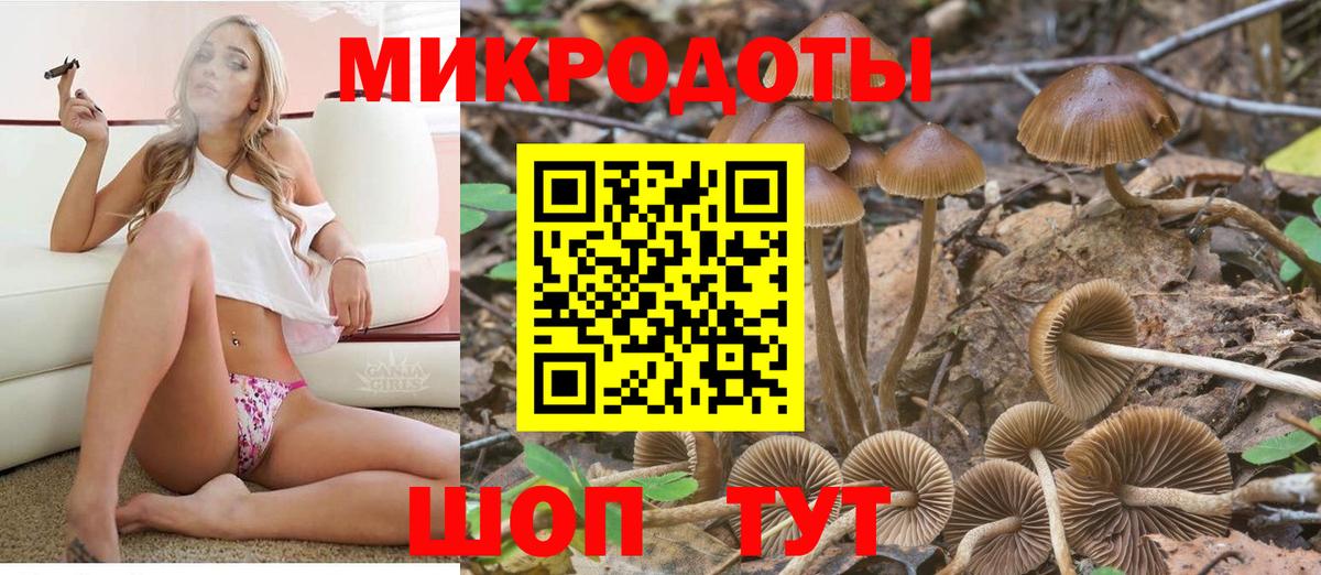 Псилоцибиновые грибы Psilocybine cubensis Воткинск