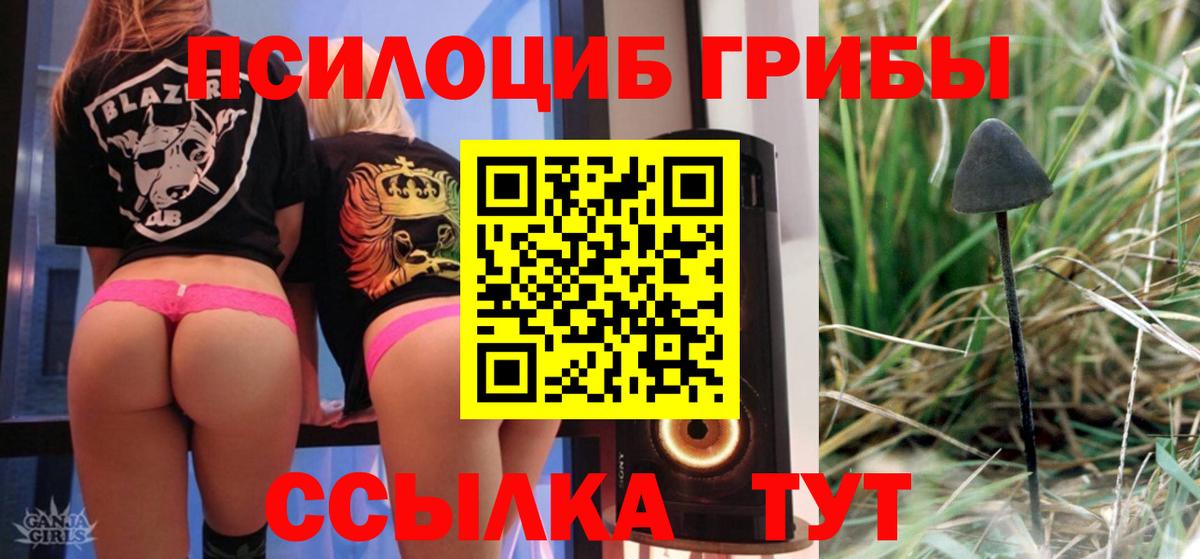 Воткинск  Галлюциногенные грибы Psilocybe  купить наркотики сайты  Вход с VPN 